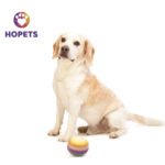 Pelota - Juguetes tejidos para morder, con sonido