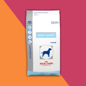 Alimento Royal Canin Soporte para movilidad adulto raza pequeña / mediana