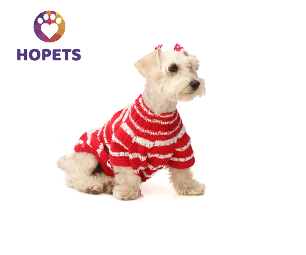 acción profundidad Haz un esfuerzo Cálido suéter bicolor rojo con blanco tejido a mano para perro – Hopets  México