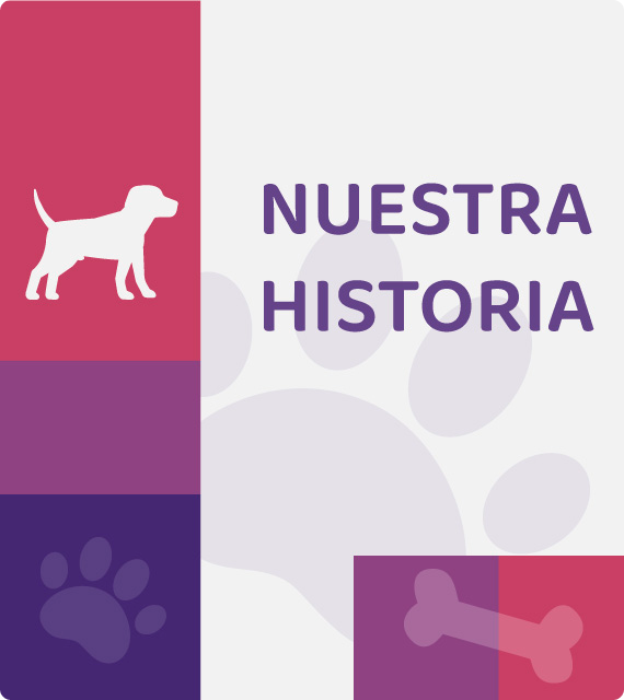 Sobre Hopets tienda de mascotas en Mexico