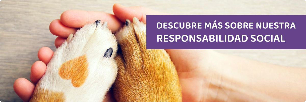 Ayuda a un perrito a tener una vida mejor
